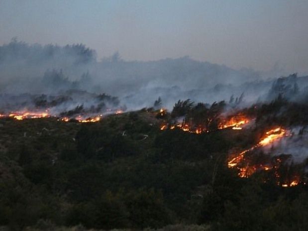 Las imágenes más dramáticas de los incendios forestales en Chile