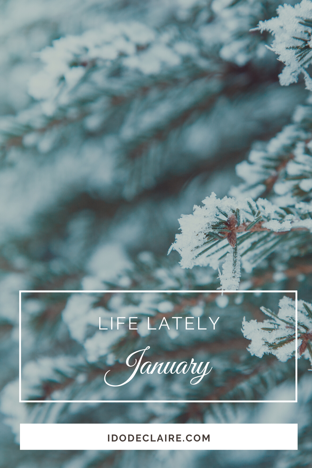 Life Lately | January