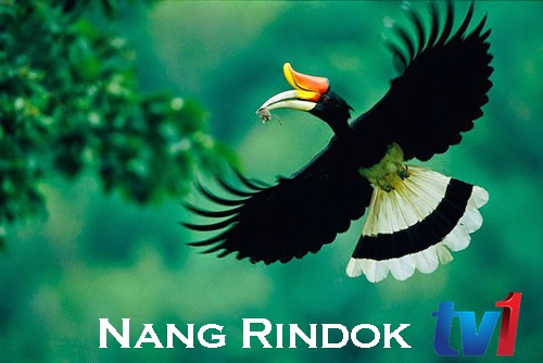 Nang Rindok TV1 RTM Sarawak siar program pembangunan rakyat Sarawak