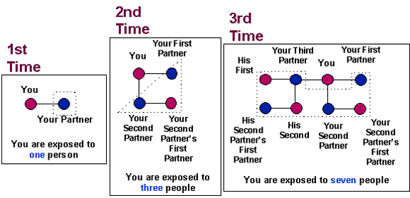 Sexual Partner Chart