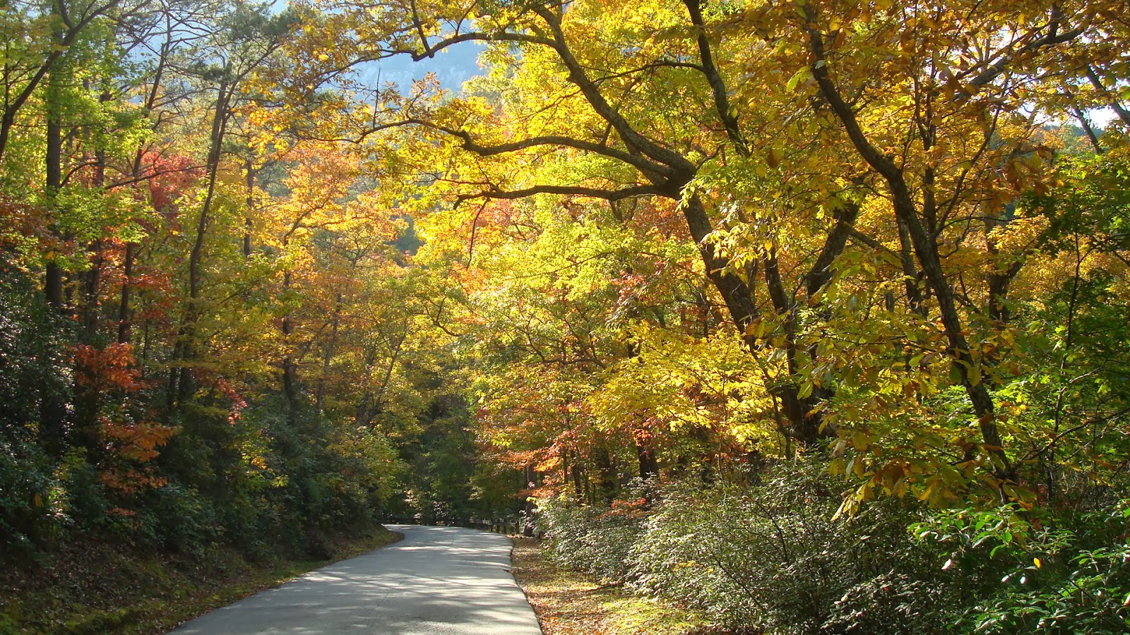 EasOn Down The Road 44 Flat Rock, NC