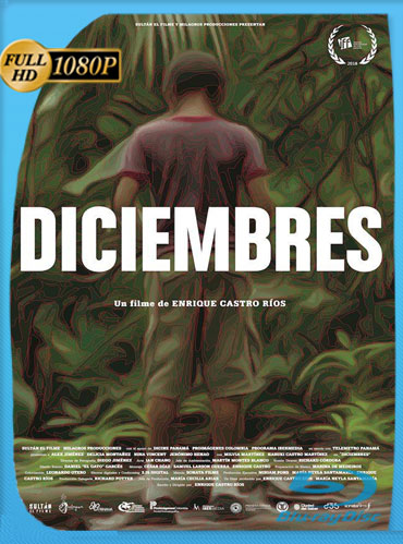 Diciembres (2018) HD 1080p Latino [GoogleDrive] TeslavoHD