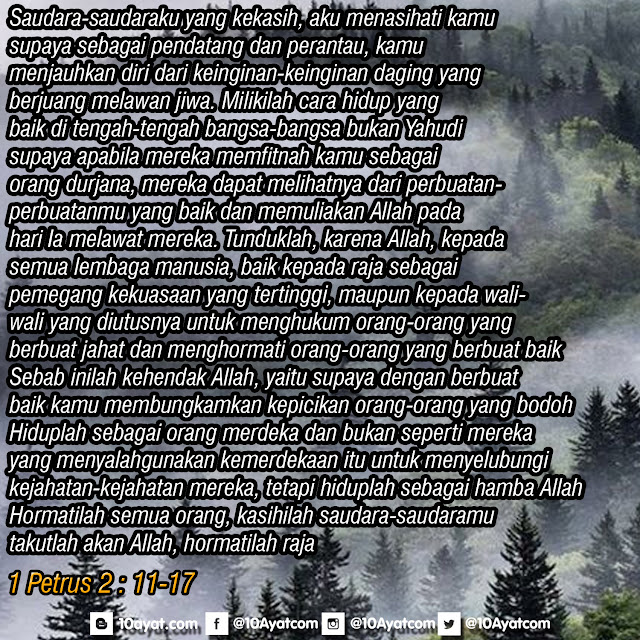 1%2BPetrus%2B2%2B %2B11 17