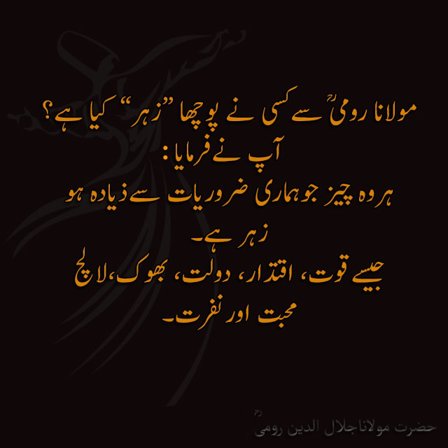 5 famous maulana rumi quotes in urdu