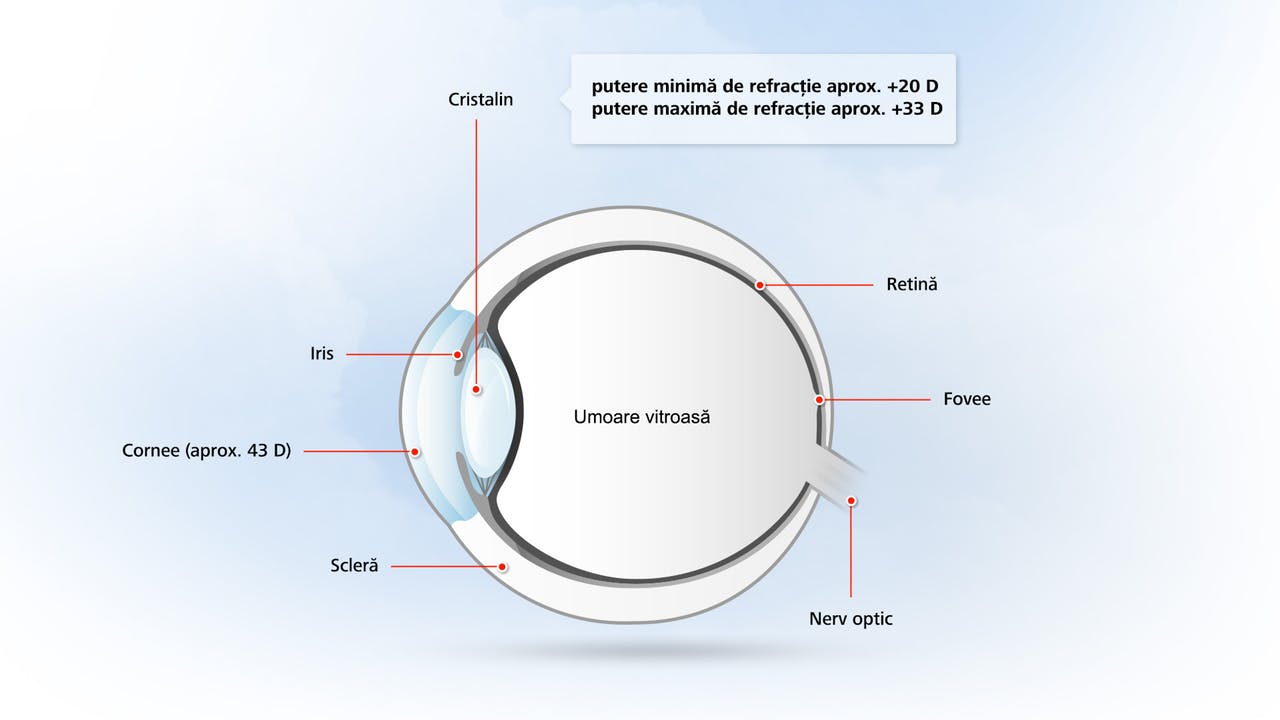 Ochiul uman si vederea - Blog de optica medicala | airsoftbotosani.ro