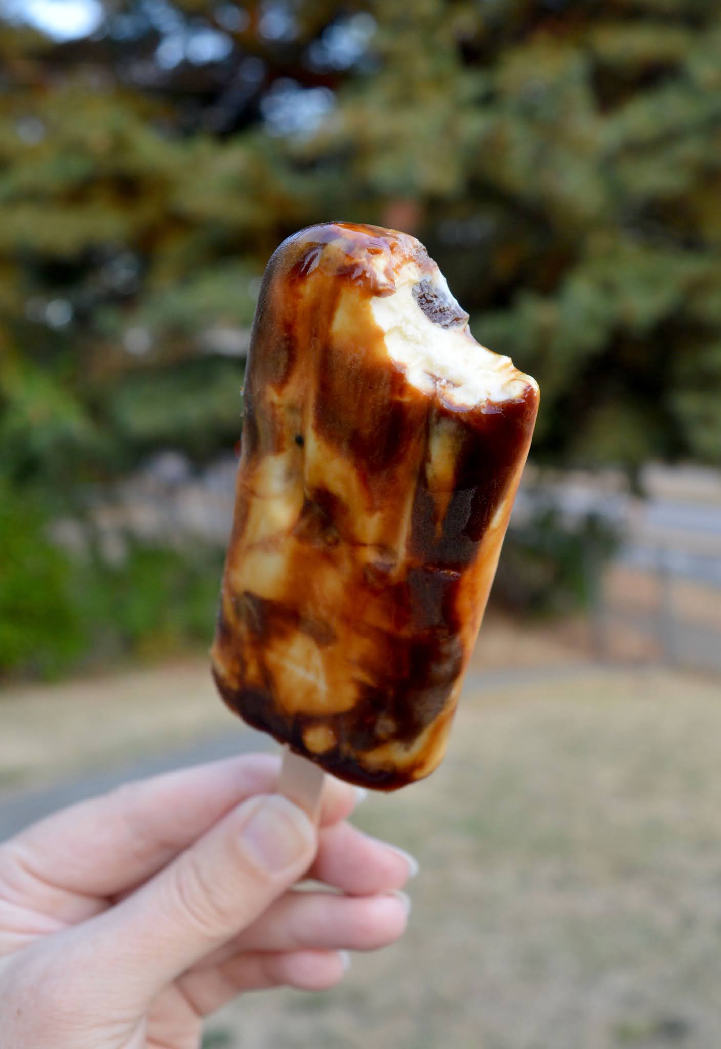 Trying Boba Tea Ice Cream Bars