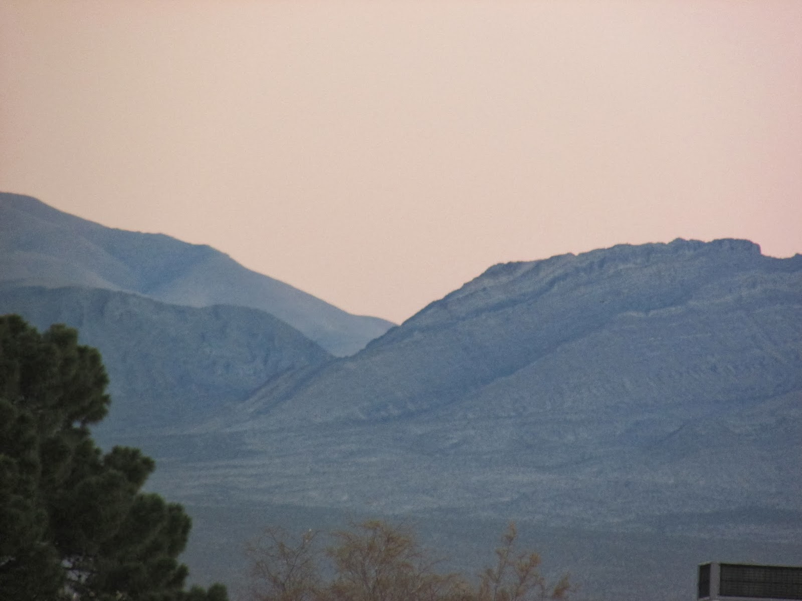 Toys and Stuff Las Vegas NV Sheep Mt.13 Januar 2014