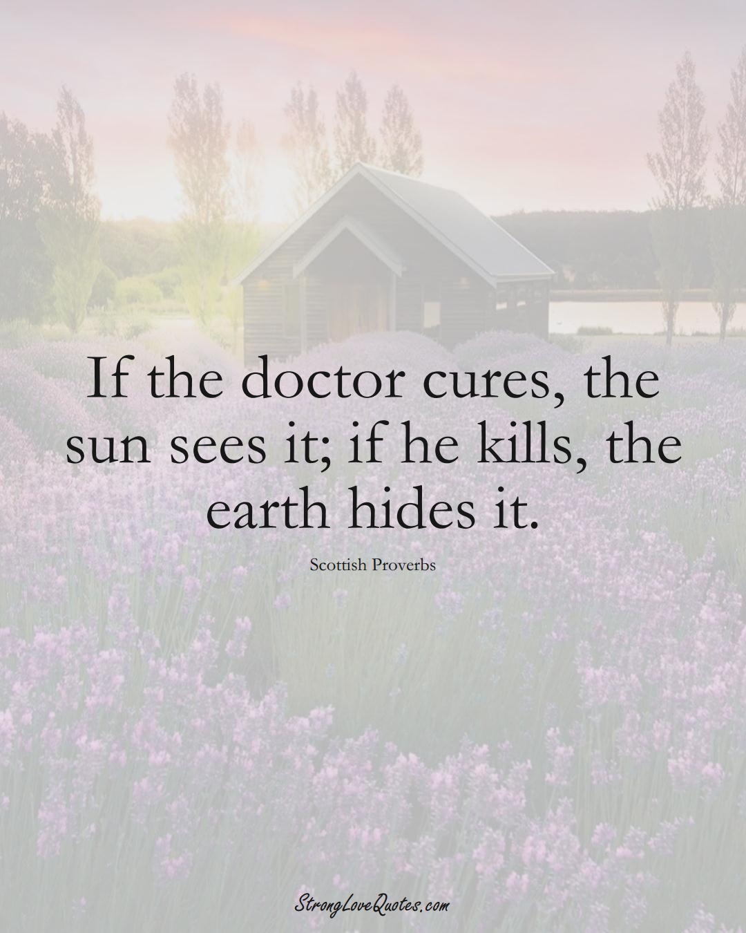 If the doctor cures, the sun sees it; if he kills, the earth hides it. (Scottish Sayings);  #EuropeanSayings