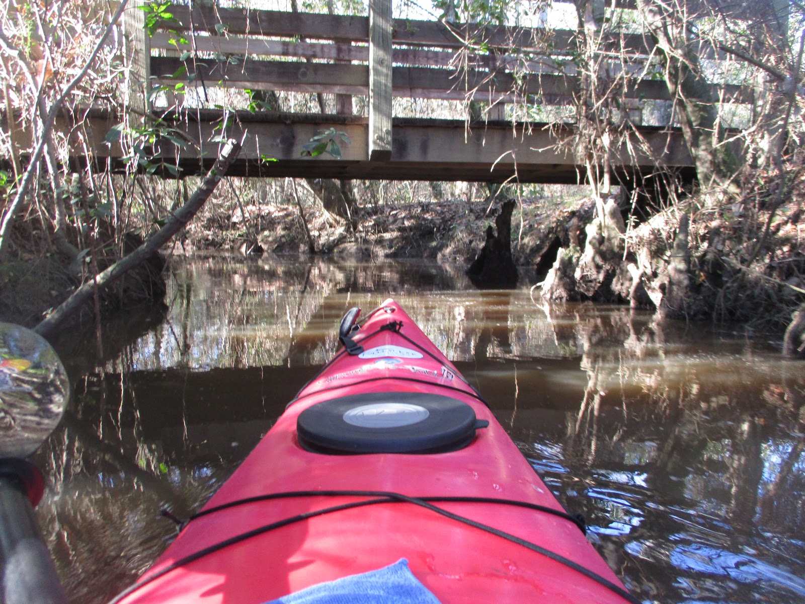Dave's Yak Tales Jourdan River. Kiln, Mississippi