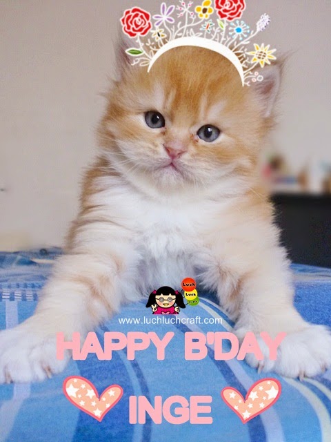 Luch Craft Happy Birthday Inge Lol Gambar Kucing