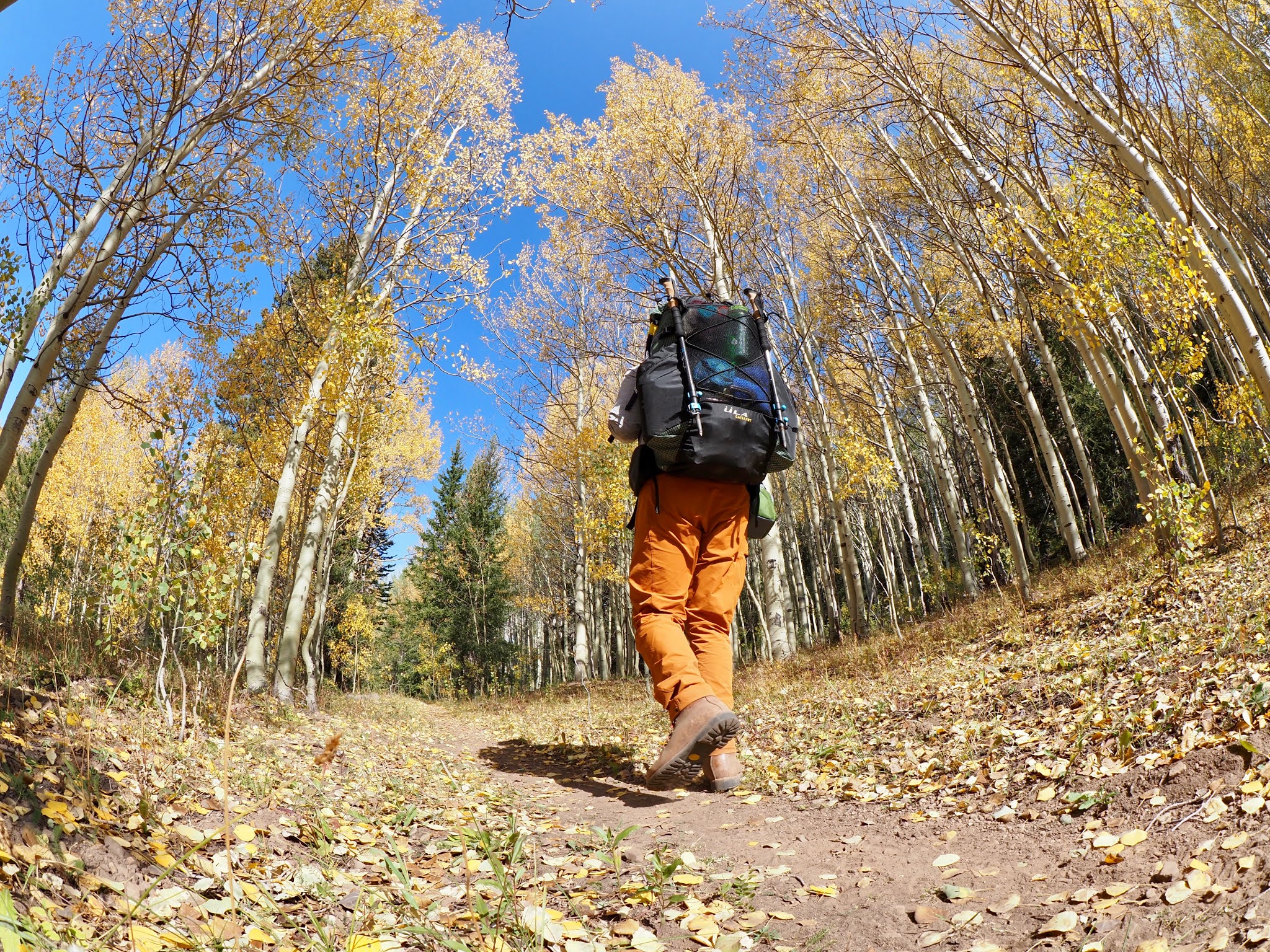 Review Zpacks Carbon Fiber Trekking Poles Red Rocks Review