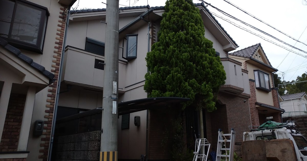 7mコニファー伐採 伏見区 小栗栖 造園 植と 事例とご案内