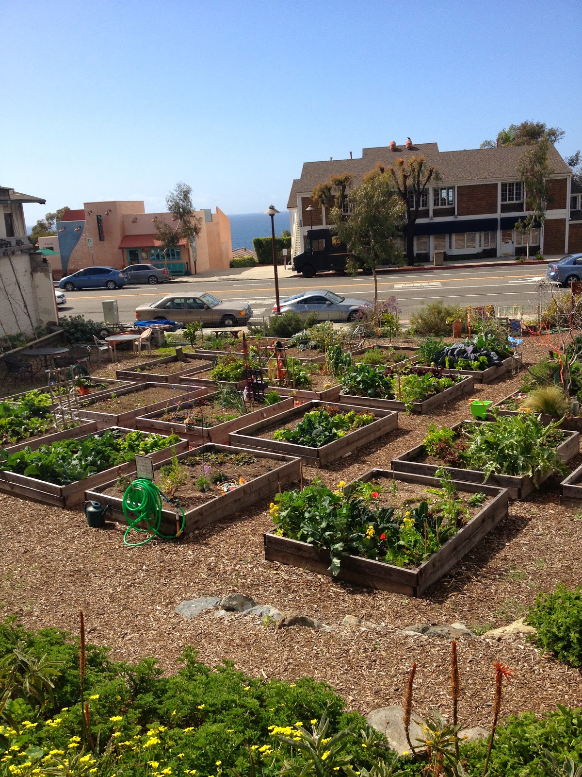 Mortgage Loans Home : Laguna Beach Community Garden