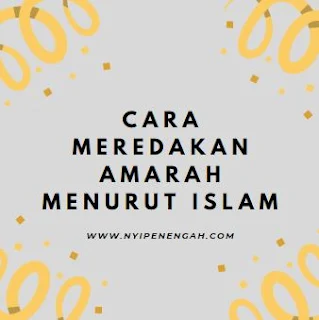 cara meredakan amarah menurut islam cara meredam amarah cara agar tidak mudah marah cara meredakan emosi wanita sebutkan cara-cara untuk menghilangkan marah cara meredam emosi pada anak cara meredam amarah kepada suami cara menahan amarah kepada suami marah dalam islam cara meredam emosi islam bagaimana cara mencegah marah adab marah dalam islam