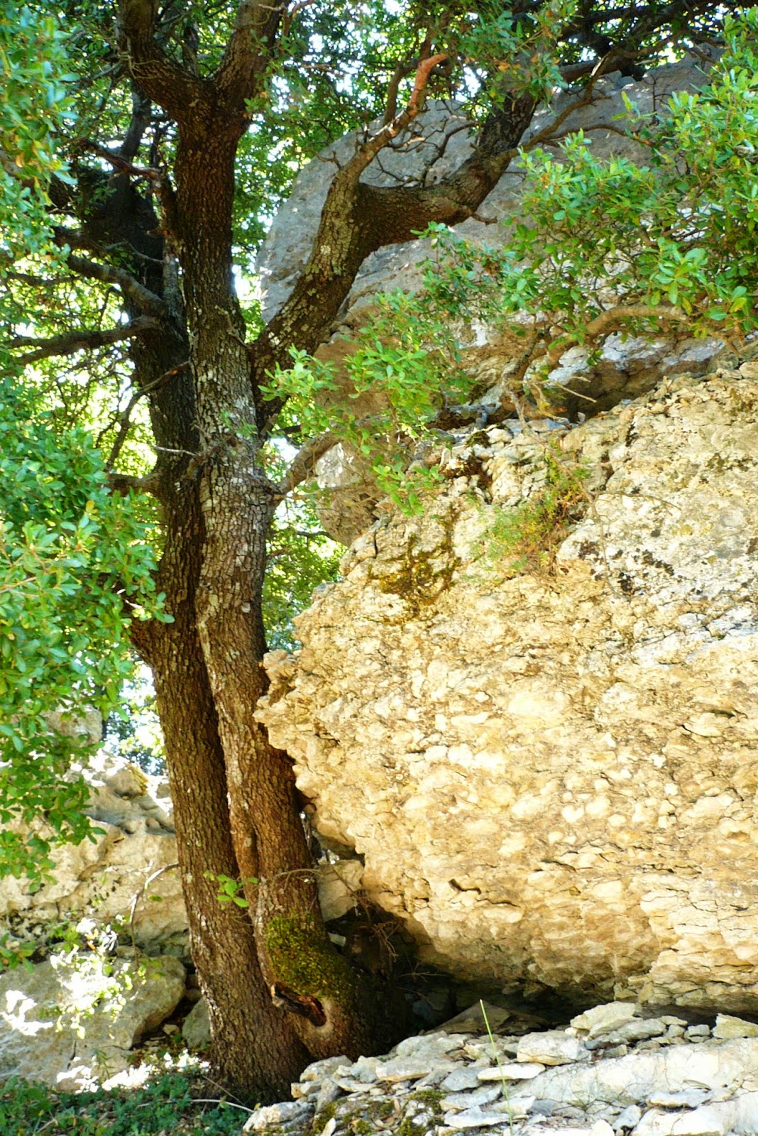 Aloha Lei Hawaje Mahalu