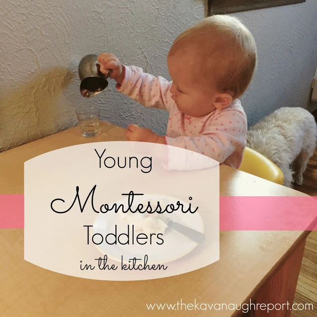 There are so many great practical life opportunities for young Montessori toddlers in the kitchen. From food preparation to clean up, toddlers can get involved at every stage. 