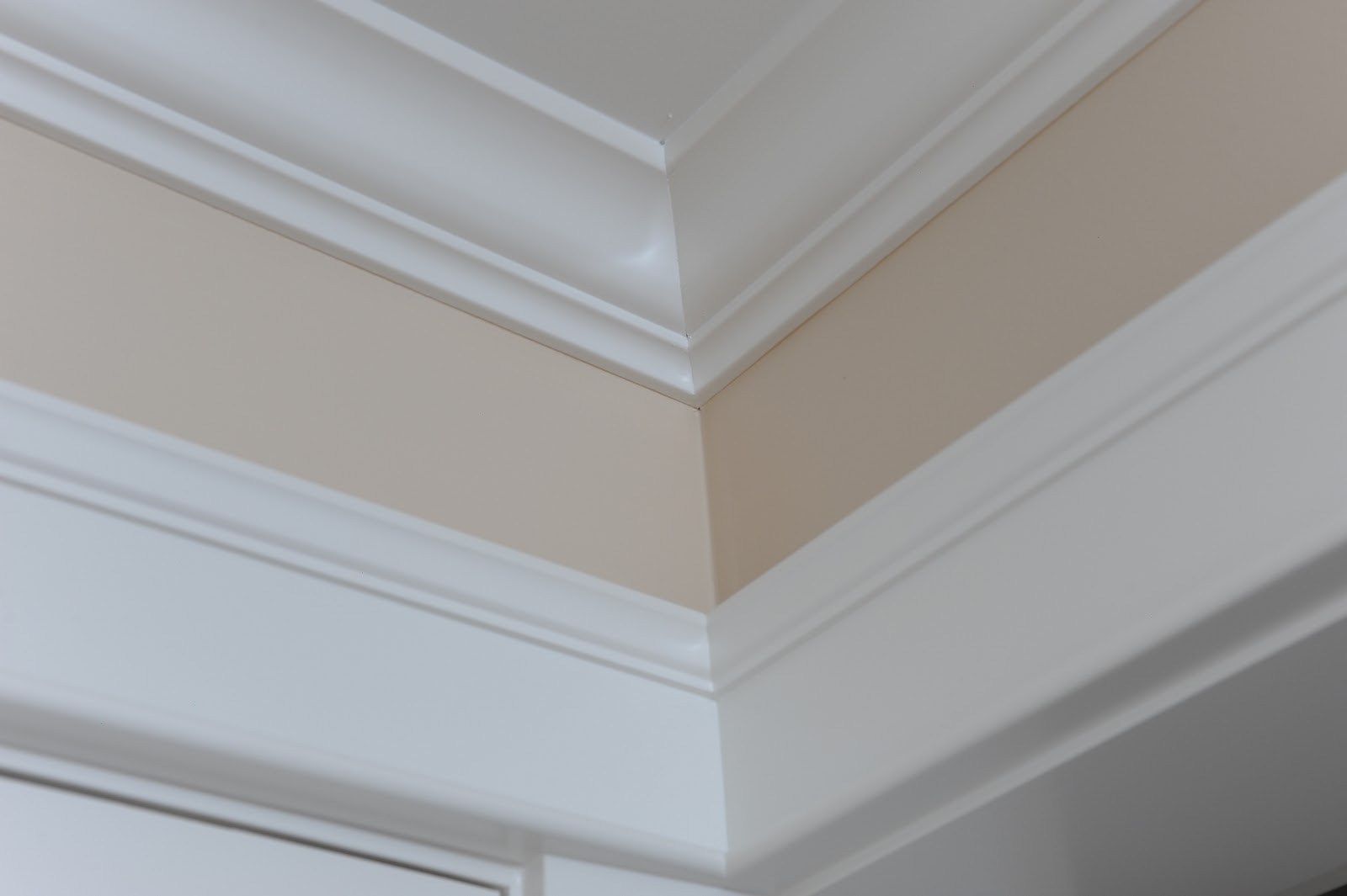 Inhabit: Crown Moulding