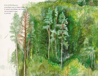 Blick ins Buch: Kinder entdecken den Wald zwischen Botanik und Poesie: "Die kleine Waldfibel" von Linda Wolfsgruber
