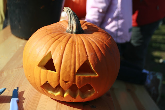 Ein Buch Lesen 244 Die Krypta Die Selbst Bomben Trotzte