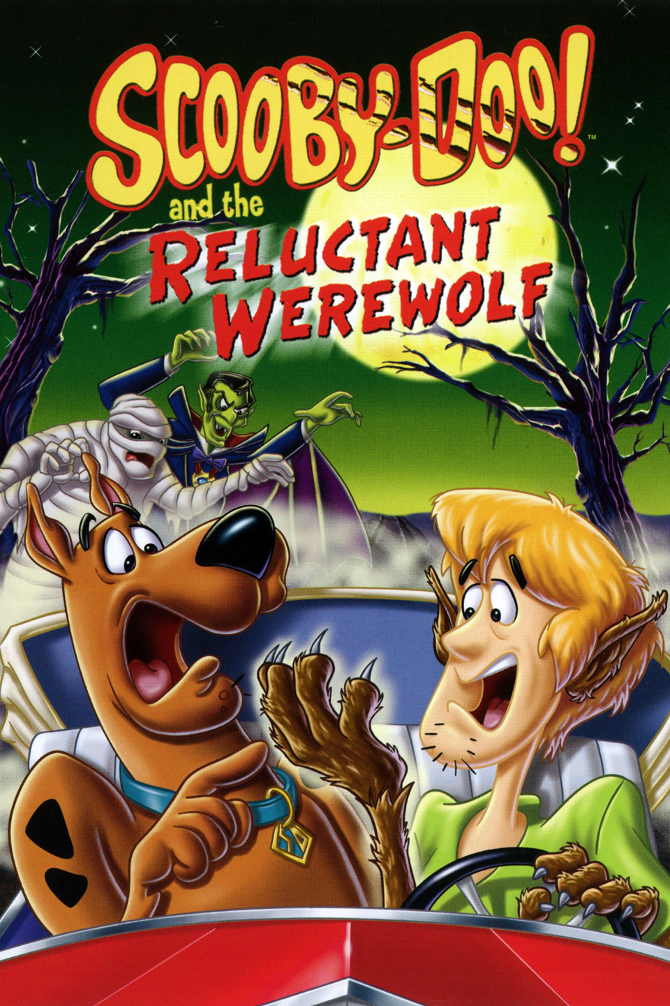 All ScoobyDoo Movies in Hindi Anime Network India
