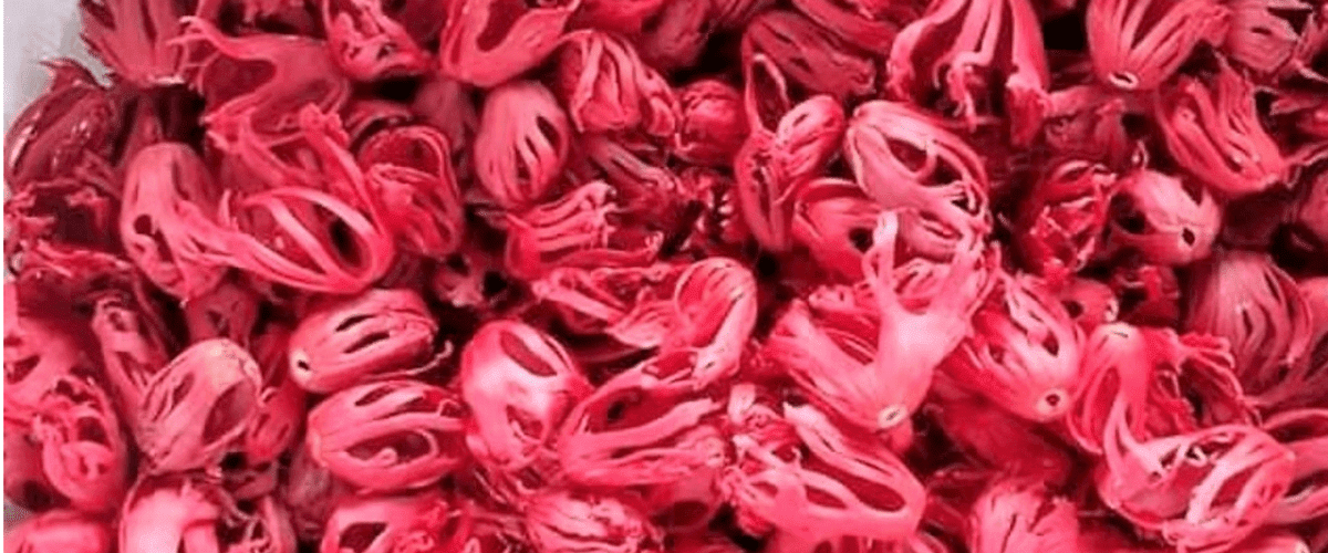 Mace Flower (Javitri) KTP International, India