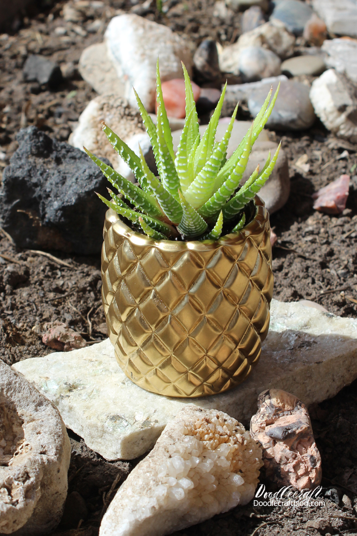 Pineapple Succulent Planter!