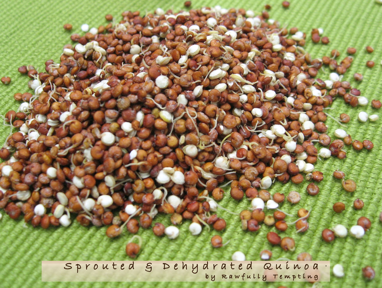 Sprouted Quinoa and Sprouted Quinoa Flour
