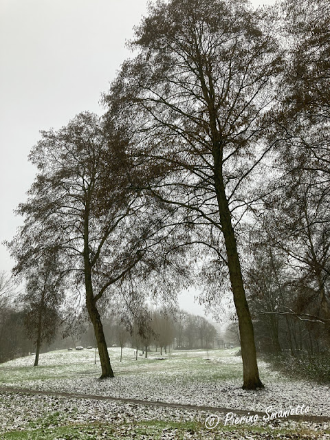 Geologenstrook in Nijmegen