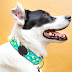 AirTag Dog Collar