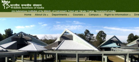 Wildlife Institute of India Jobs for Females 2021, Apply Online16