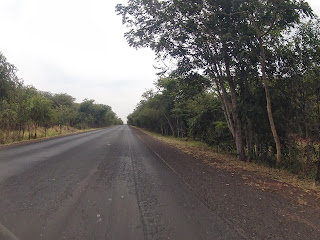 Bela paisagem - reta e vegetação.