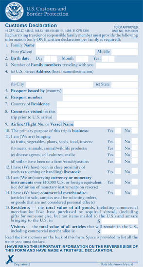 Customs Declaration образец заполнения на русском