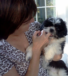 NAMC montessori teacher order and relationships away from the classroom with puppy