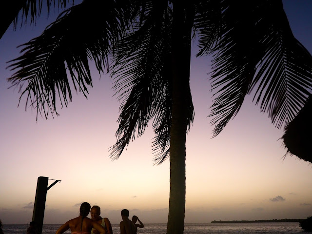 Purple skies at dusk with palm tree silhouette on Caye Caulker, Belize