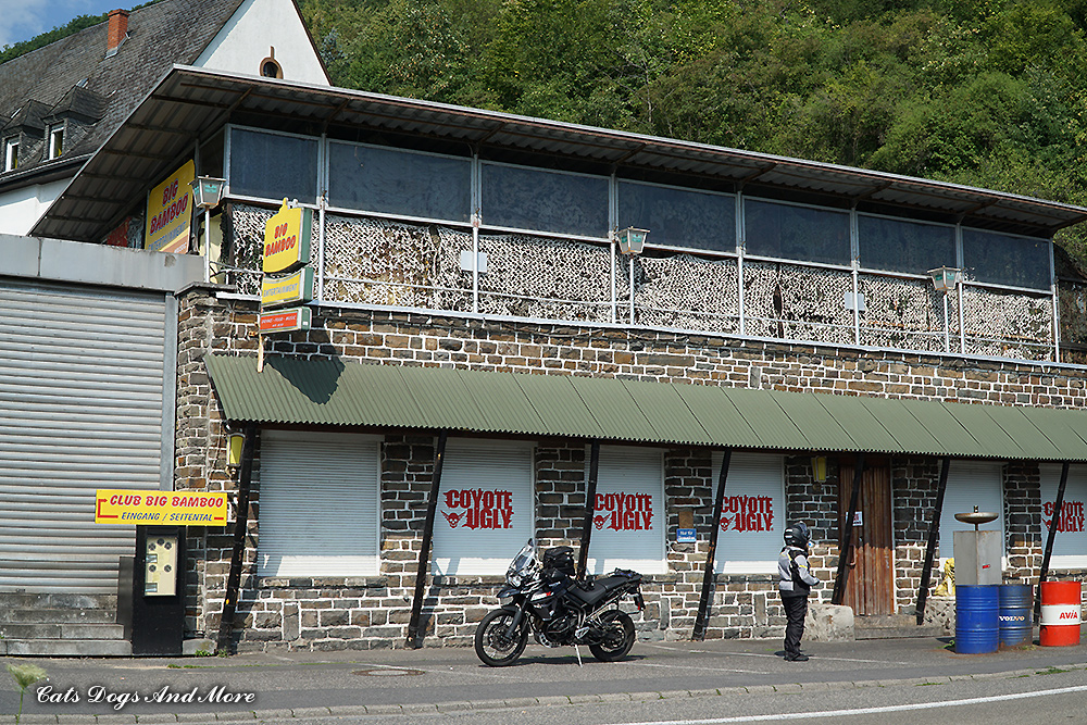 Der Wanderfreund Wilder Rheinsteig Etappe 2 Von Oberdollendorf