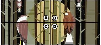 Quiz Diva-Quiz Answers Of “Spot the Owl Quiz"
