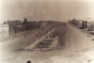 "Historias de María Grande y su gran Avenida de los Arboles"