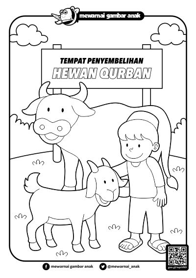 Mewarnai Gambar Anak Hewan Qurban Kita Belajar Seputar Idul Adha