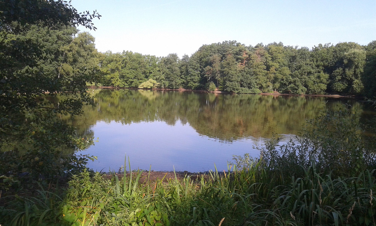 Zwei Linden vor dem Haus Ein paar Fotos von "Sibirien" in Elmshorn