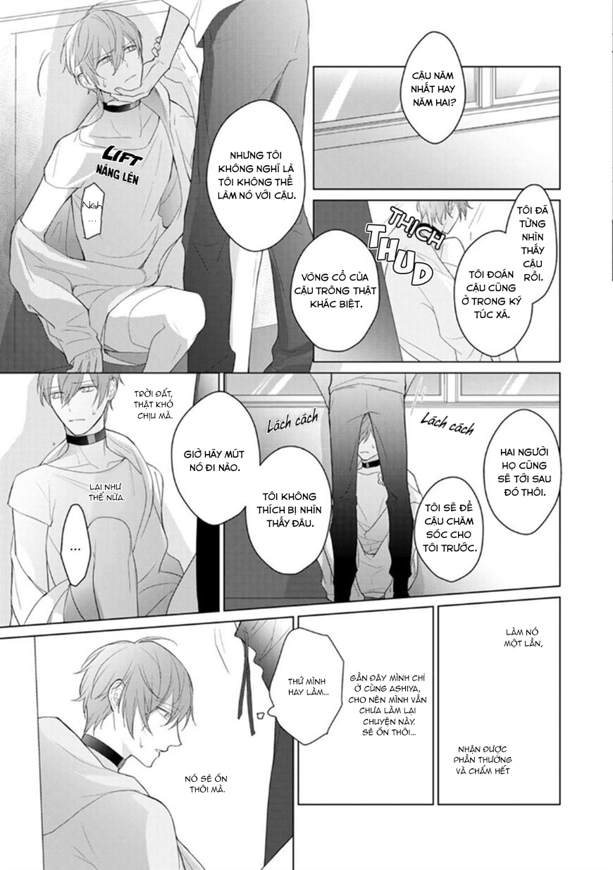 Đọc truyện Omega Không Đứng Đắn Không Thể Rơi Vào Lưới Tình - Chapter 3