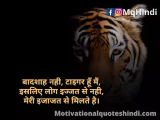 Tiger Status In Hindi Tiger Status In Hindi