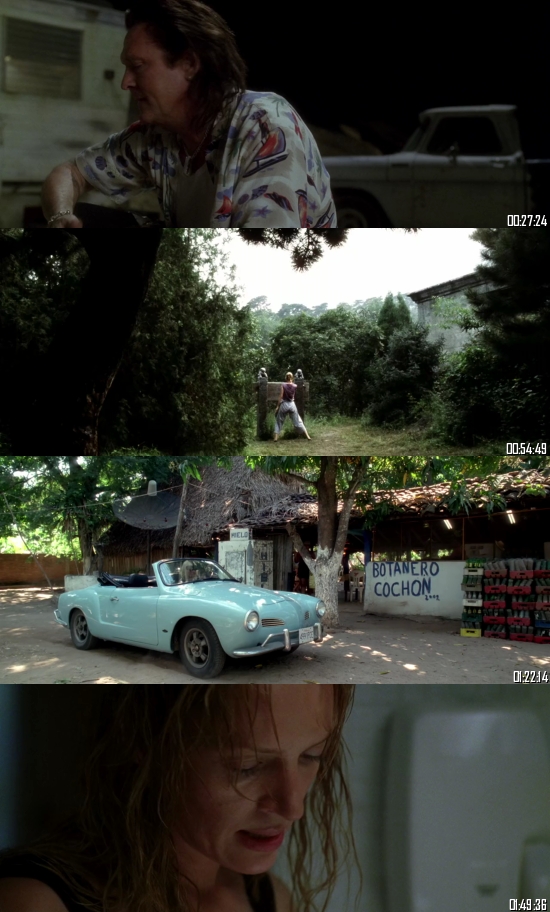 Kill Bill Volume 2 (2004) BRRip 720p 480p Dual Audio Hindi English Full Movie Download