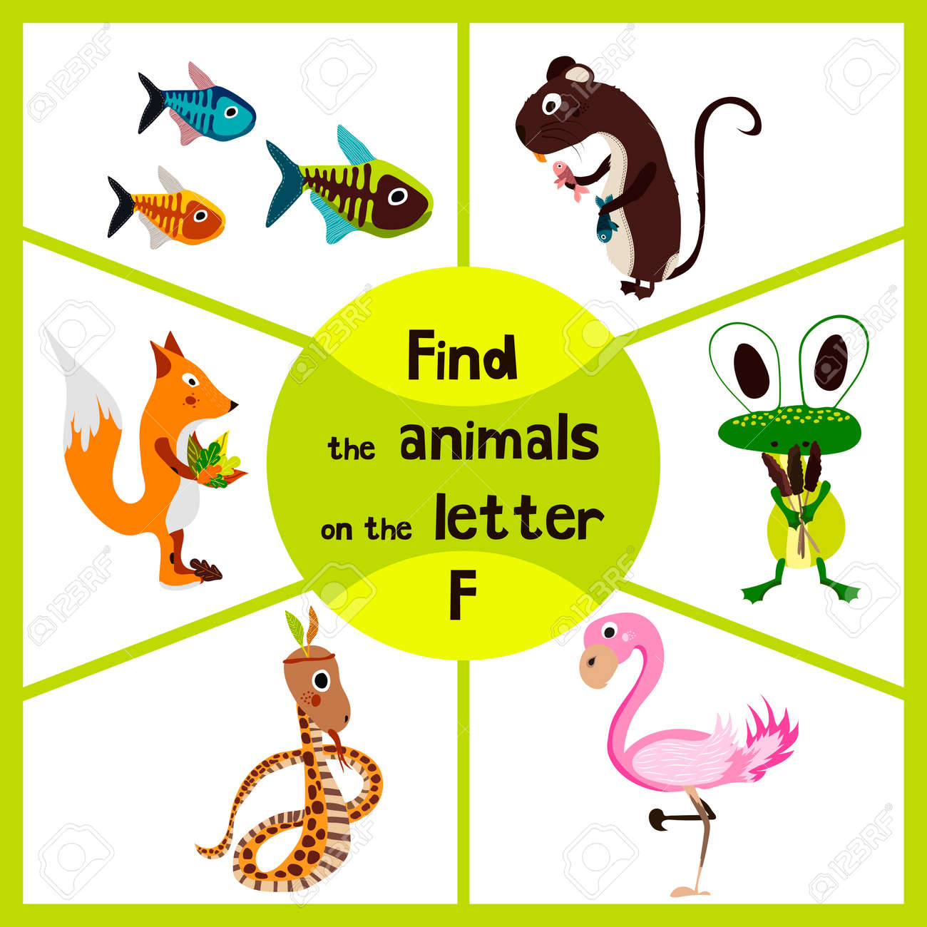 Animals That Start With The Letter F ~ Thankyou Letter