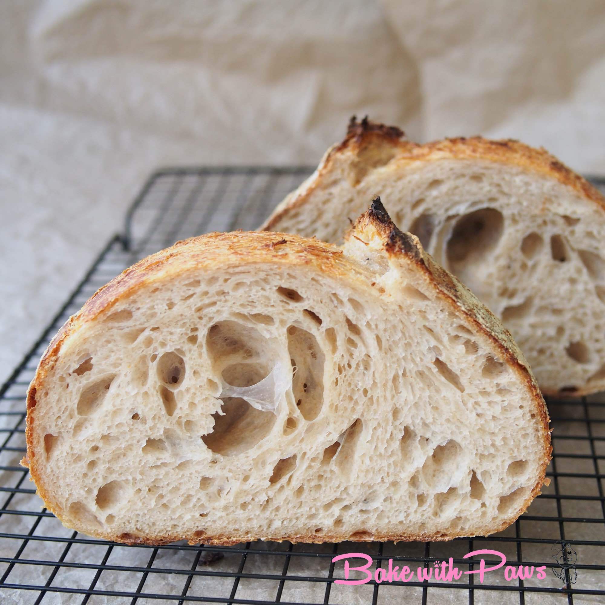 Basic Open Crumb Sourdough Bread (Medium Hydration) BAKE WITH PAWS