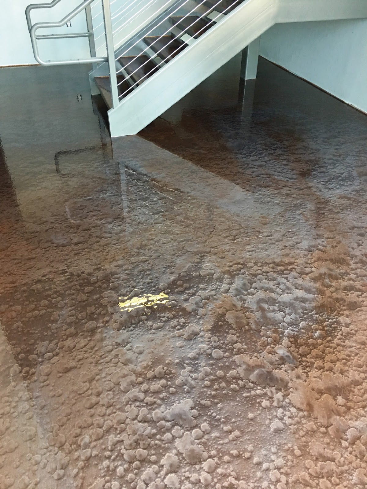 3D Epoxy Painted Wood And Concrete Floors With Best Finishes Engindaily