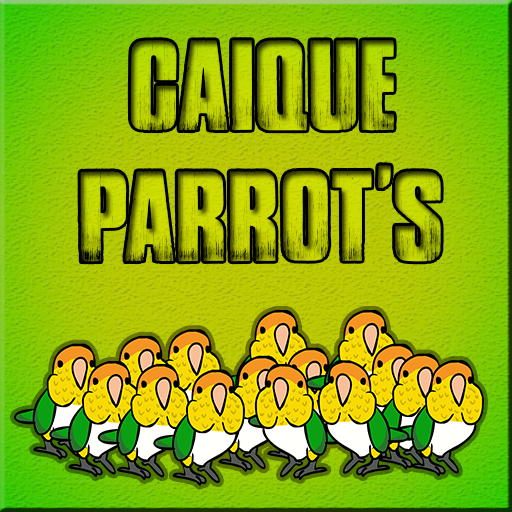 Caique Parrots Escape Walkthrough