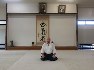 Sensei Sorin Despa, 5 Dan Aikido Aikikai - Hombu Dojo 2012