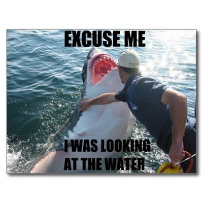 funny memes clean funny memes clean