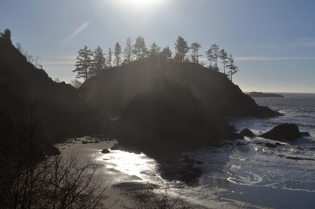 sunlight through the trees of the island