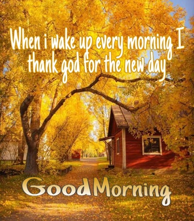 Top 50 Good Morning Quotes to Start the fresh Day Top 50 Good Morning Quotes to Start the fresh Day